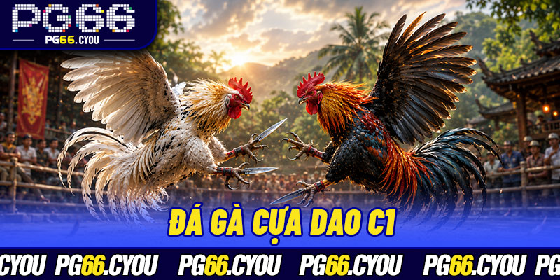 Đá Gà Cựa Dao C1