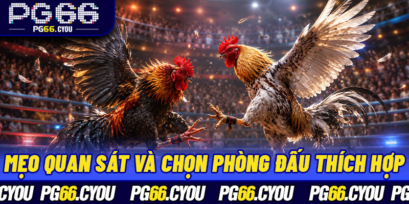 Mẹo quan sát và chọn phòng đấu thích hợp hiệu quả