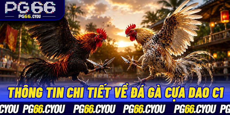 Thông tin chi tiết về đá gà cựa dao C1